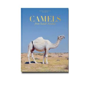 Camels From Saudi Arabia ( Classic )