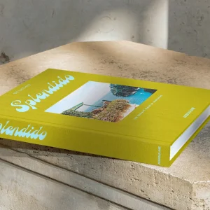 Assouline Splendido The Radiant Stage Of Portofino ( Terrace )